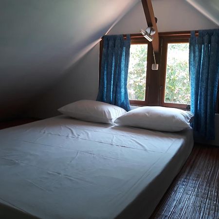 Le Jardin Hotel Amed Værelse billede